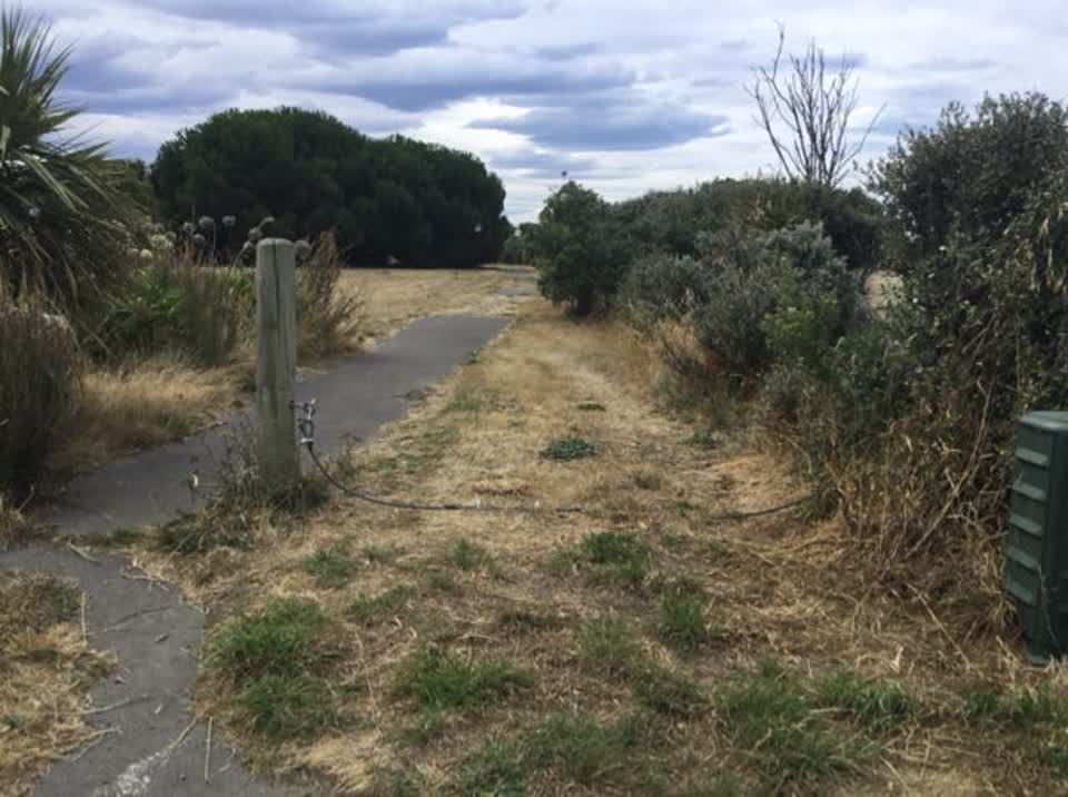 The photograph attached to this parks report