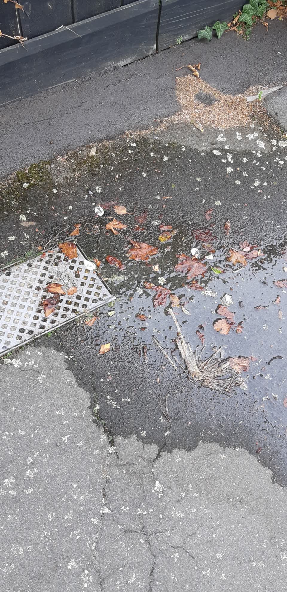 The photograph attached to this water supply report