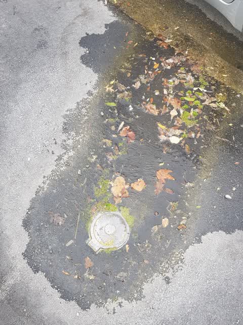 Water Supply, a report photo