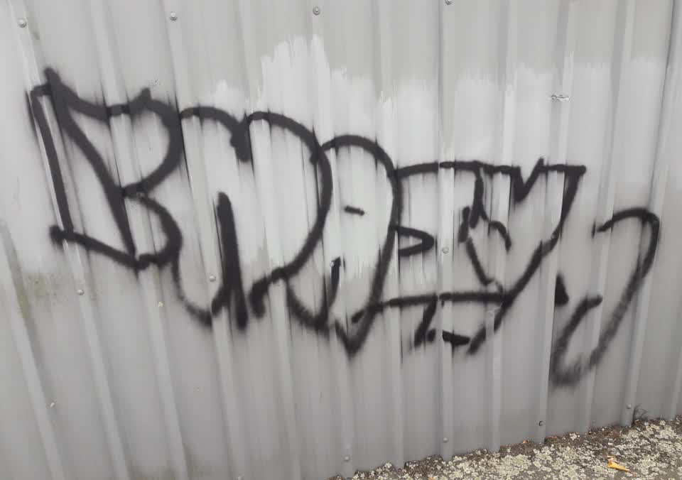 The photograph attached to this graffiti report