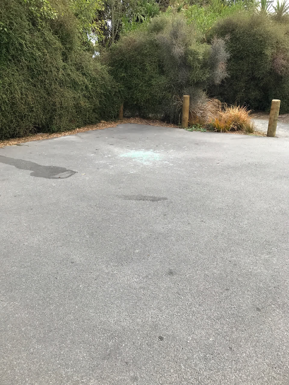 The photograph attached to this parks report
