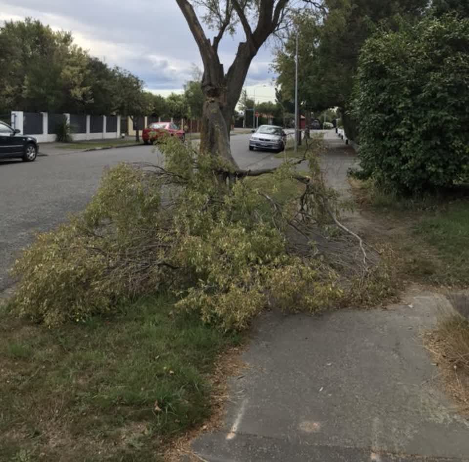 The photograph attached to this roading/streets report