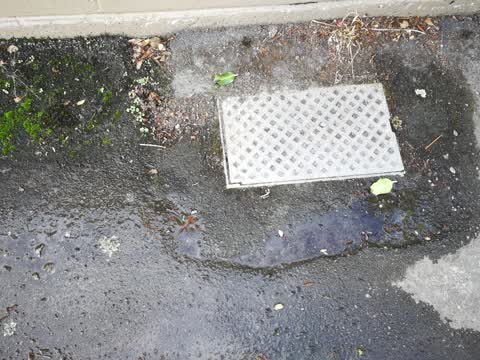 Water Supply, a report photo