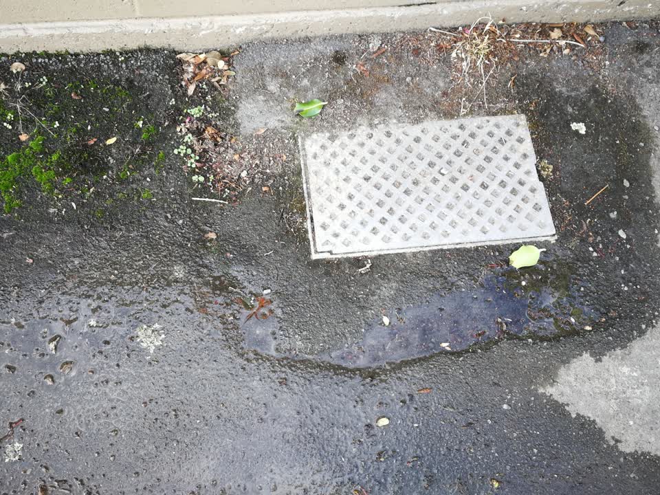 The photograph attached to this water supply report