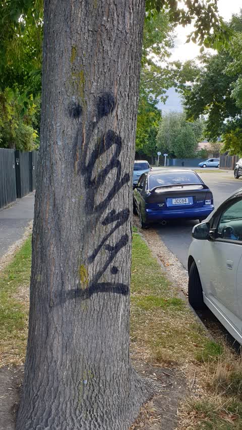 Graffiti, a report photo