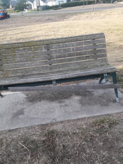 Parks, a report photo