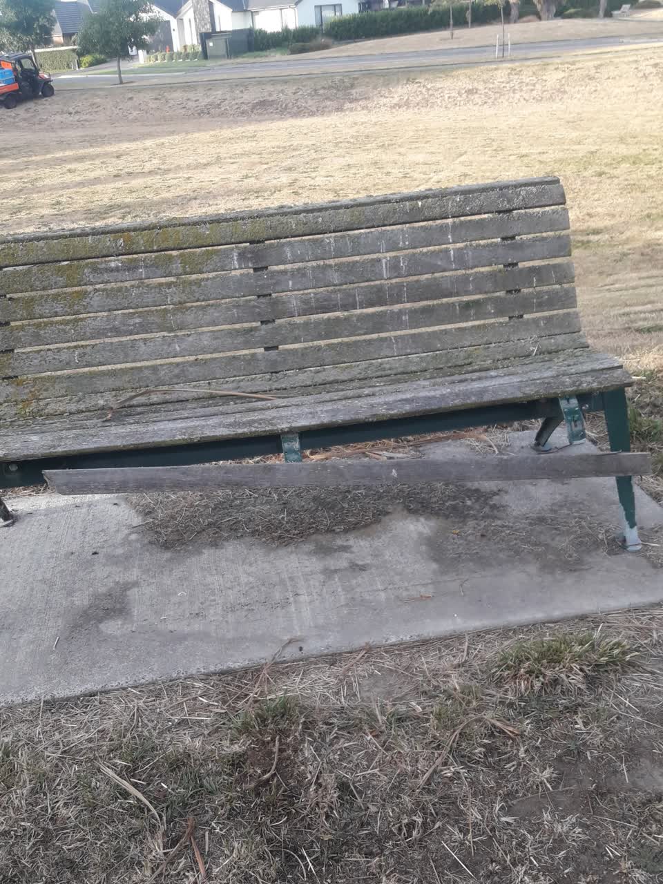 The photograph attached to this parks report