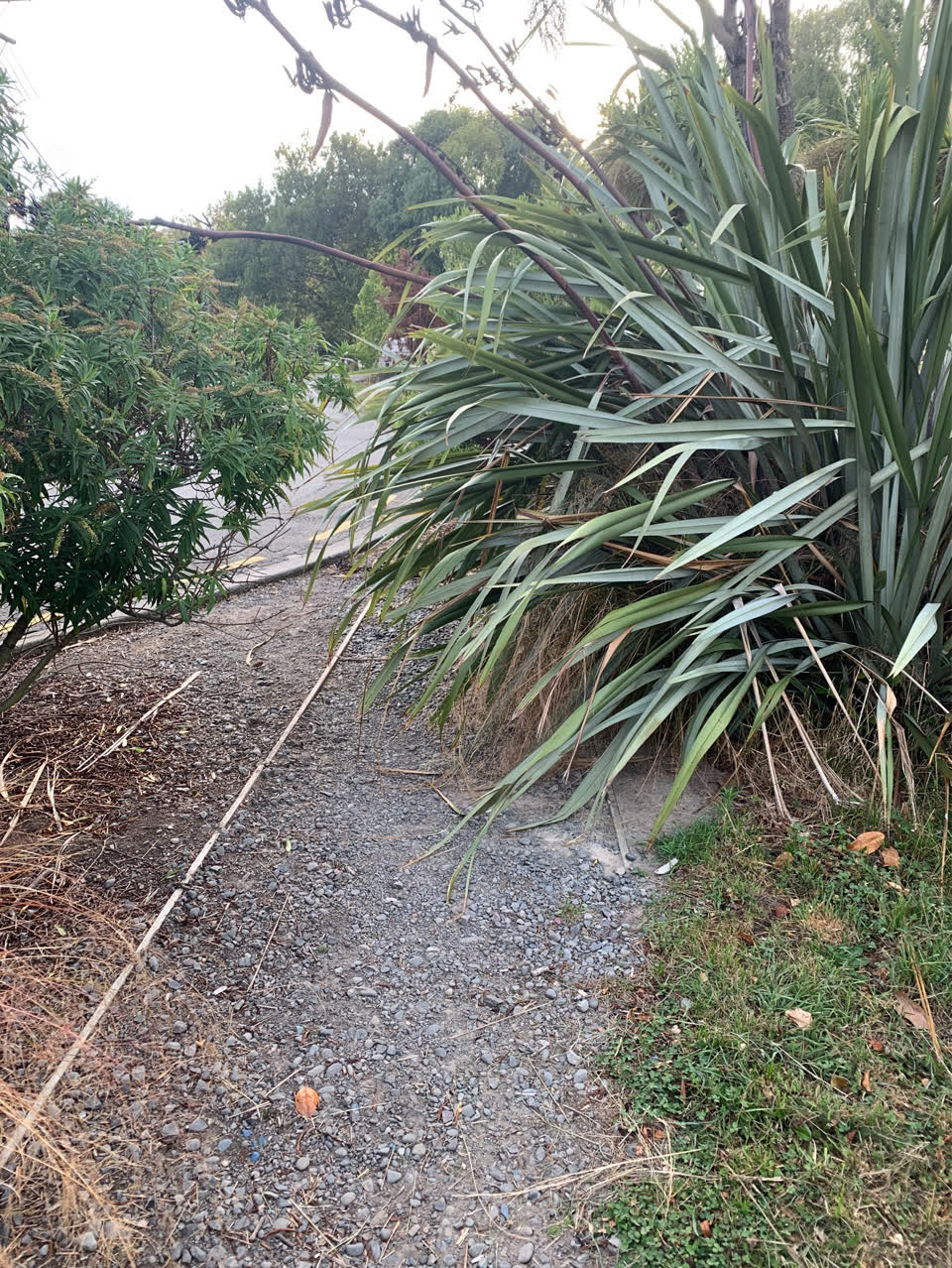 The photograph attached to this parks report