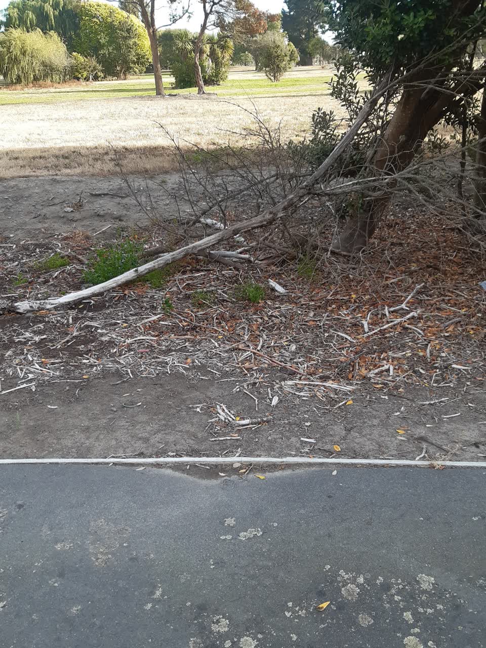 The photograph attached to this parks report