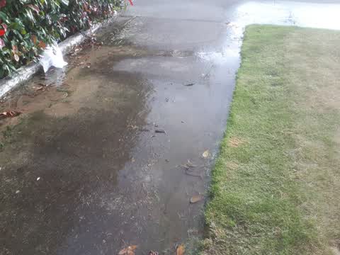 Water Supply, a report photo