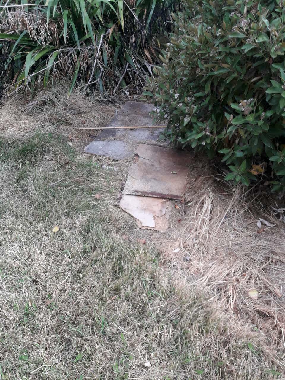 The photograph attached to this parks report