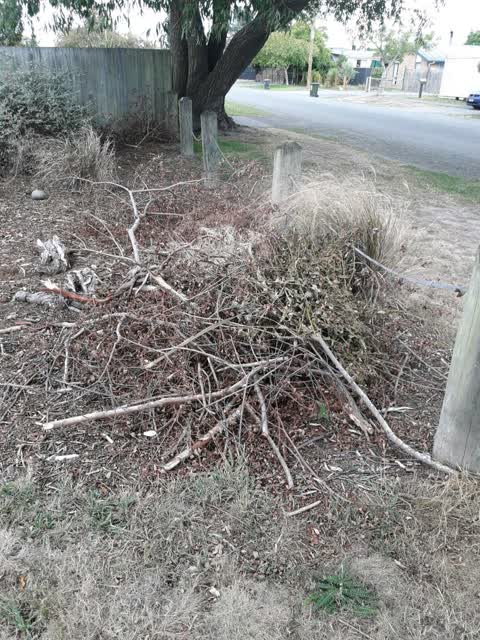 Parks, a report photo