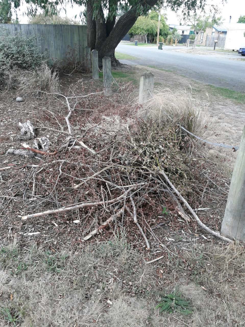 The photograph attached to this parks report