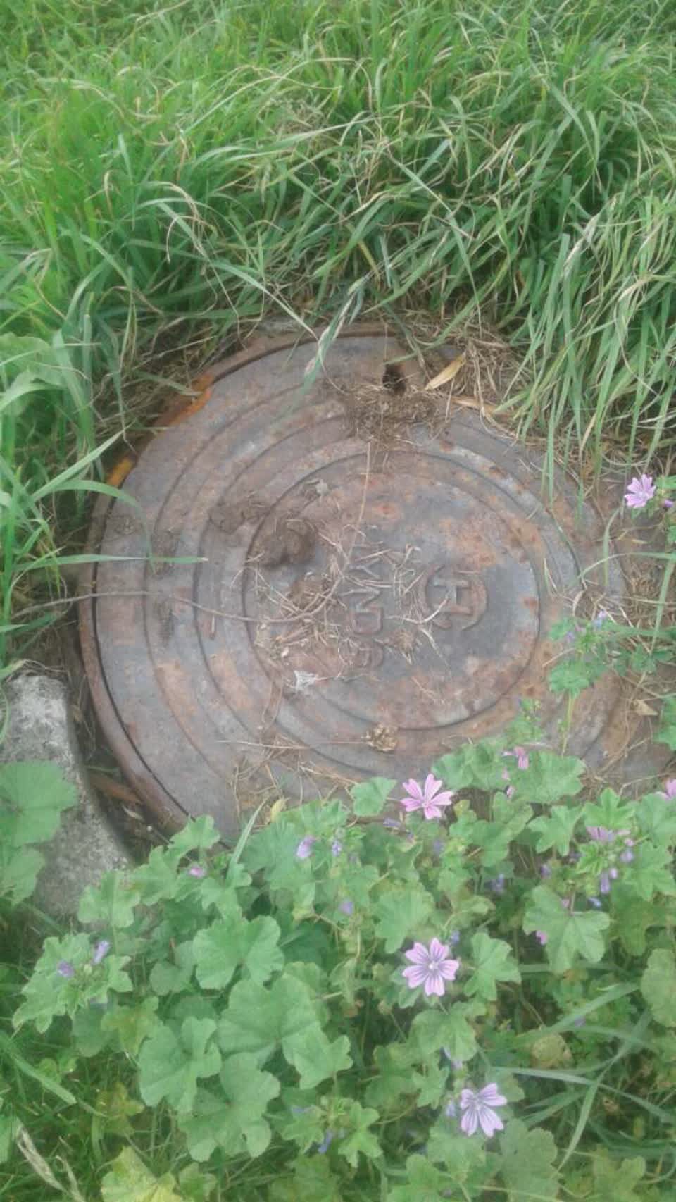 The photograph attached to this flooding report