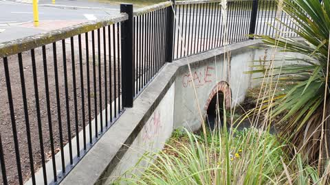 Graffiti — a report photo