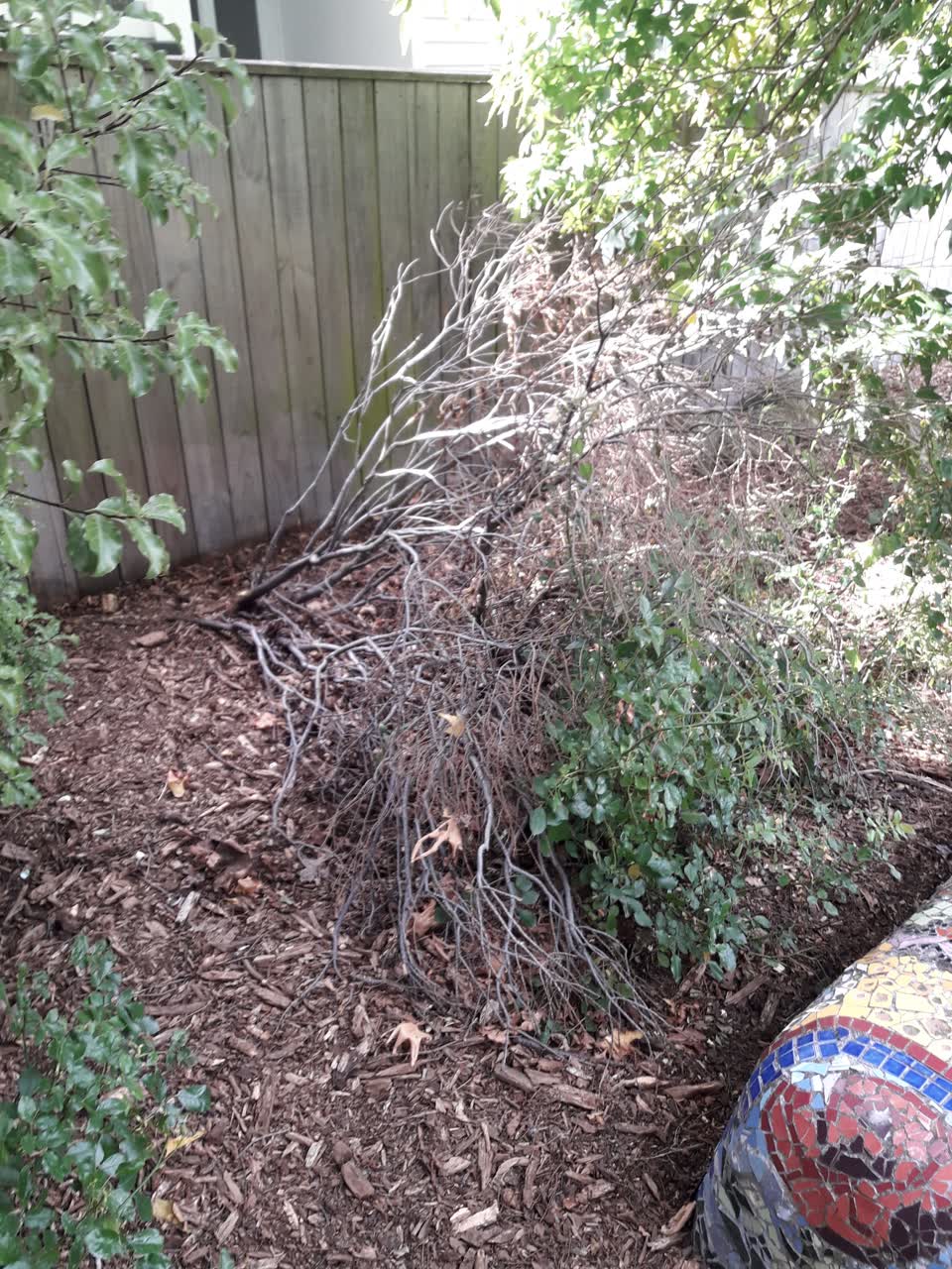The photograph attached to this parks report