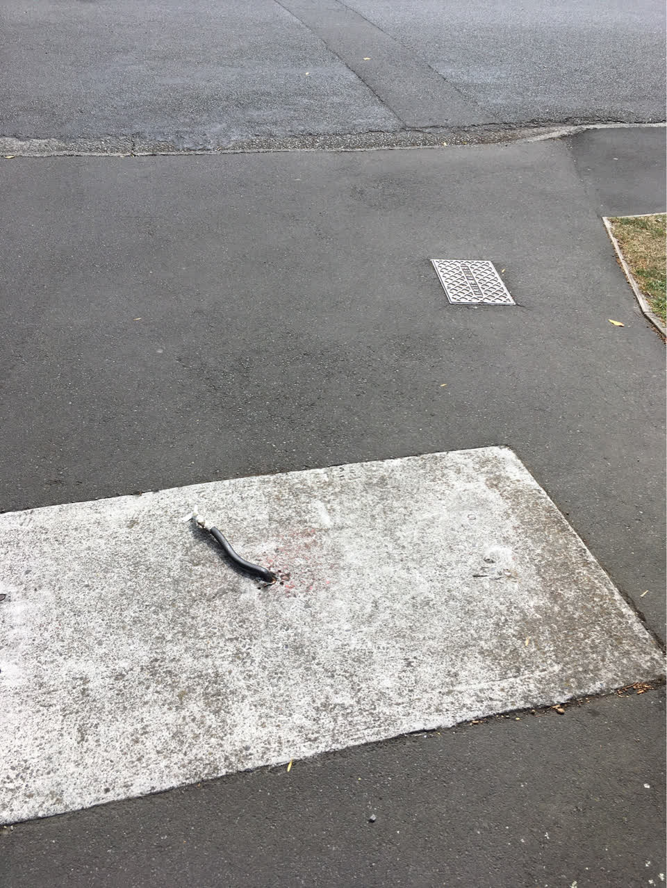 The photograph attached to this roading/streets report