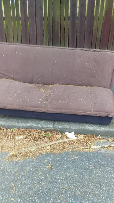 Rubbish/Recycling, a report photo