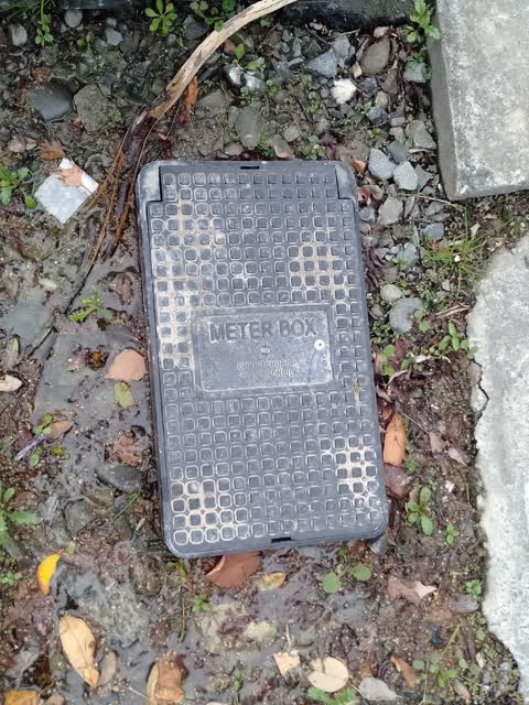 Wastewater/Stormwater, a report photo