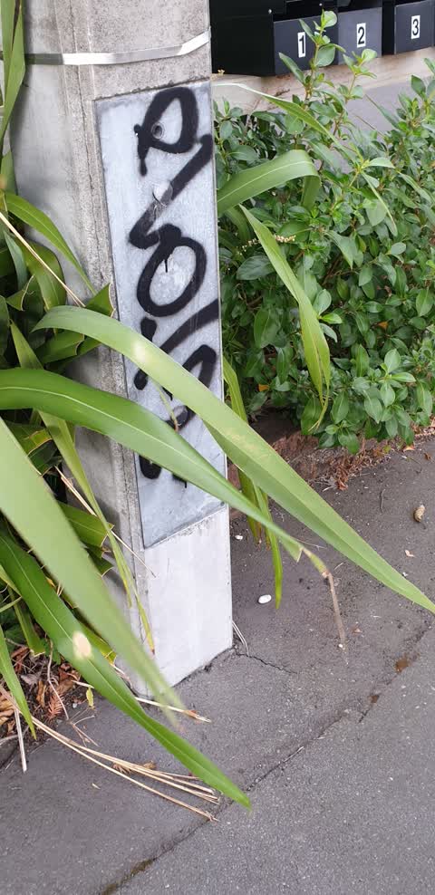 Graffiti, a report photo