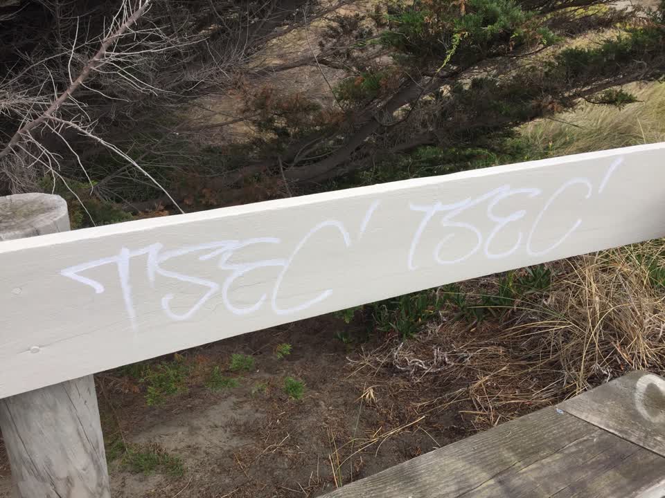 The photograph attached to this graffiti report