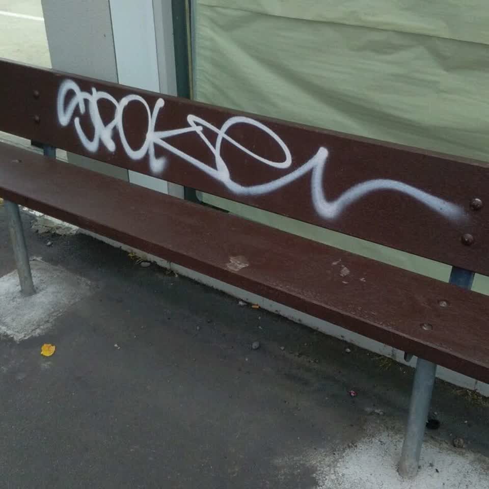 The photograph attached to this graffiti report