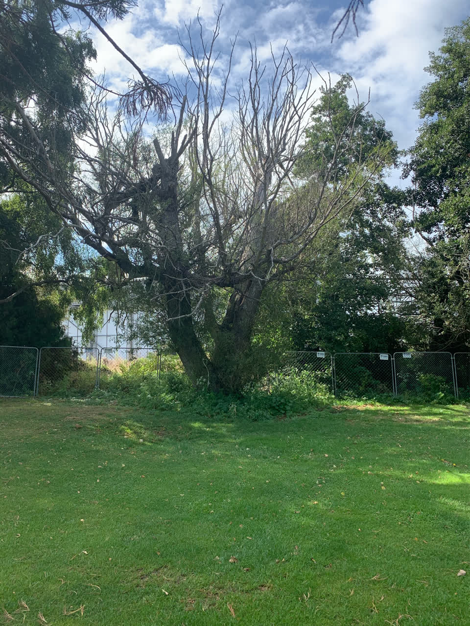 The photograph attached to this parks report