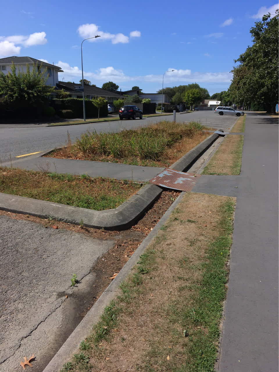 The photograph attached to this parks report