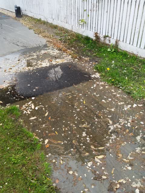 Water Supply, a report photo