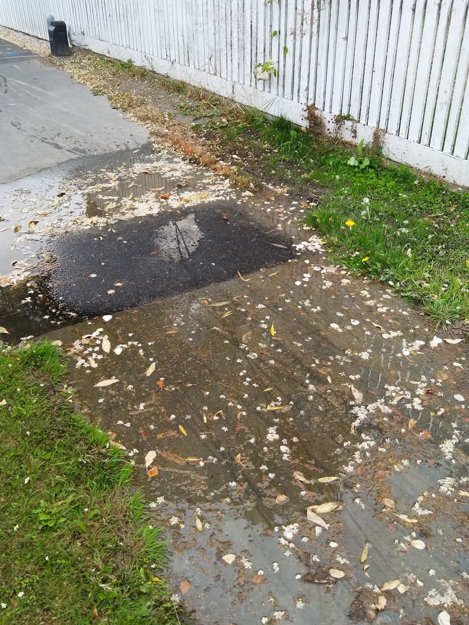 The photograph attached to this water supply report
