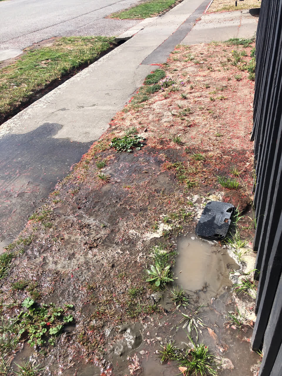 The photograph attached to this water supply report