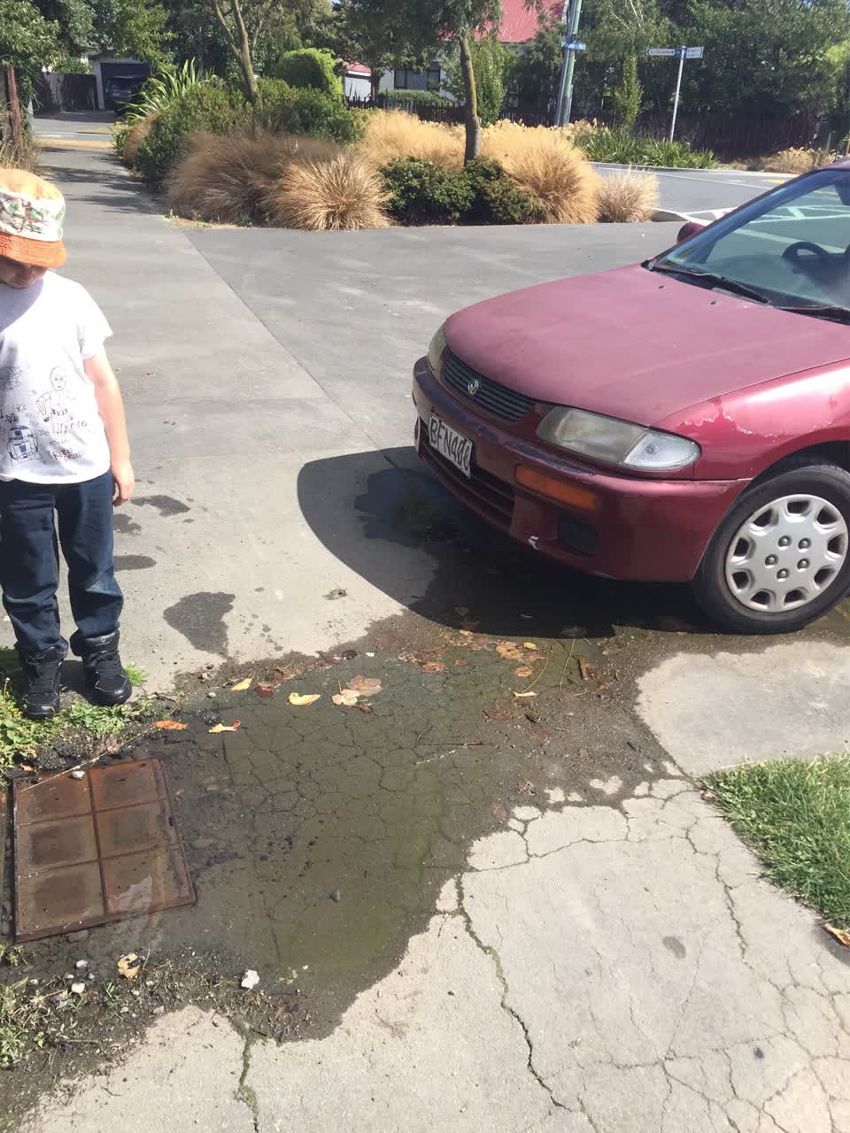 The photograph attached to this water supply report