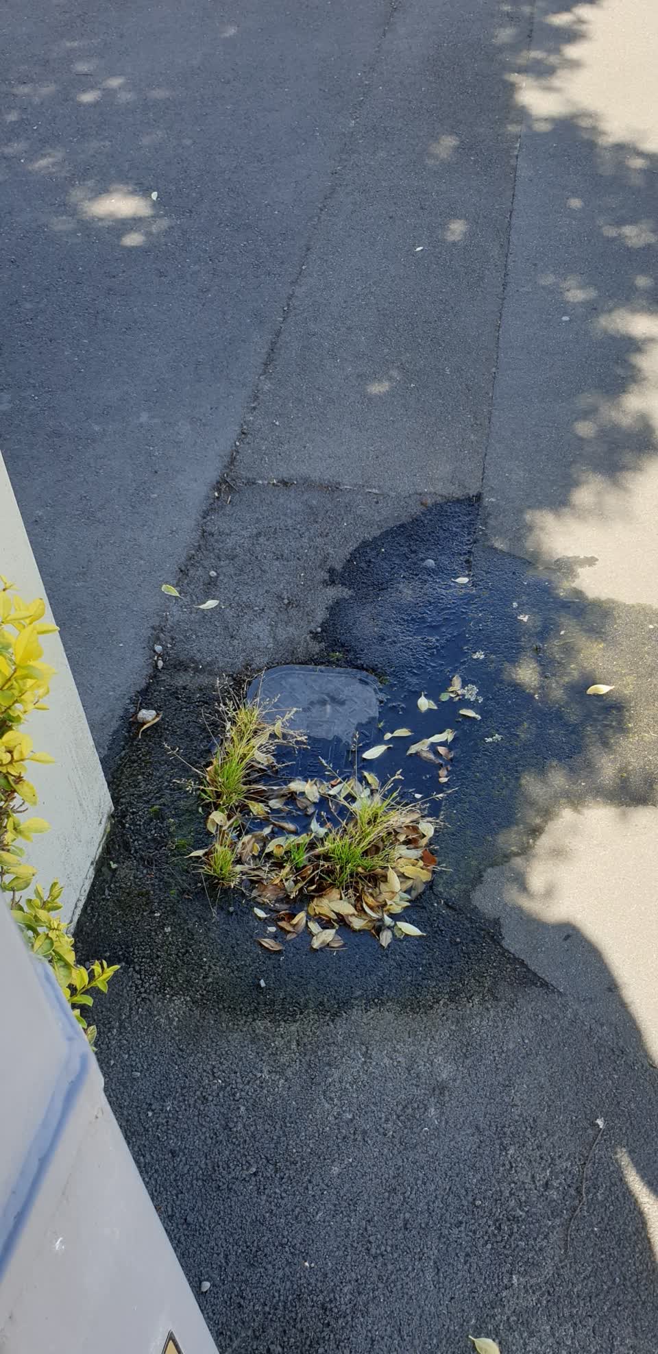The photograph attached to this water supply report
