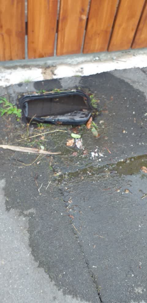 Water Supply, a report photo