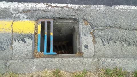 Roading/Streets, a report photo
