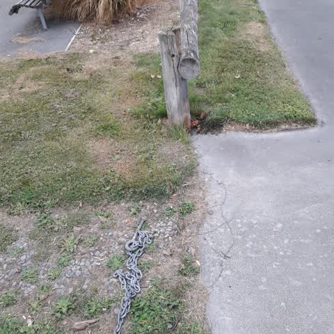 Parks, a report photo