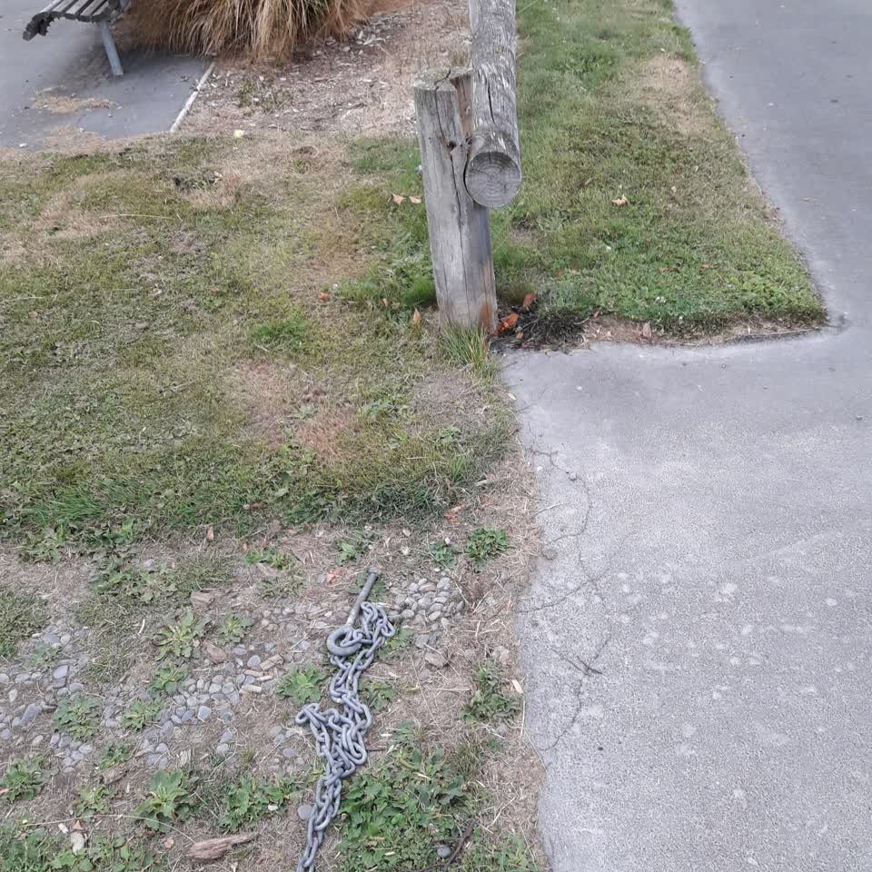 The photograph attached to this parks report