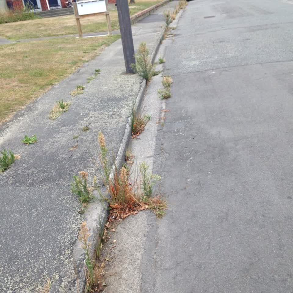 The photograph attached to this roading/streets report