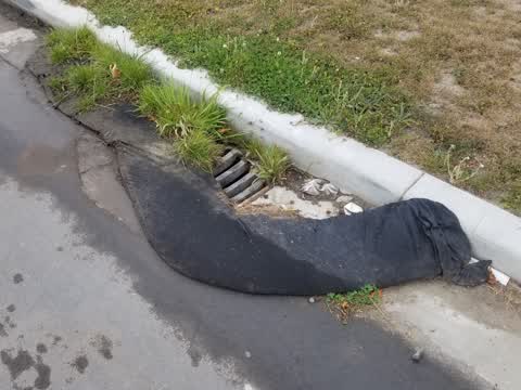Roading/Streets, a report photo