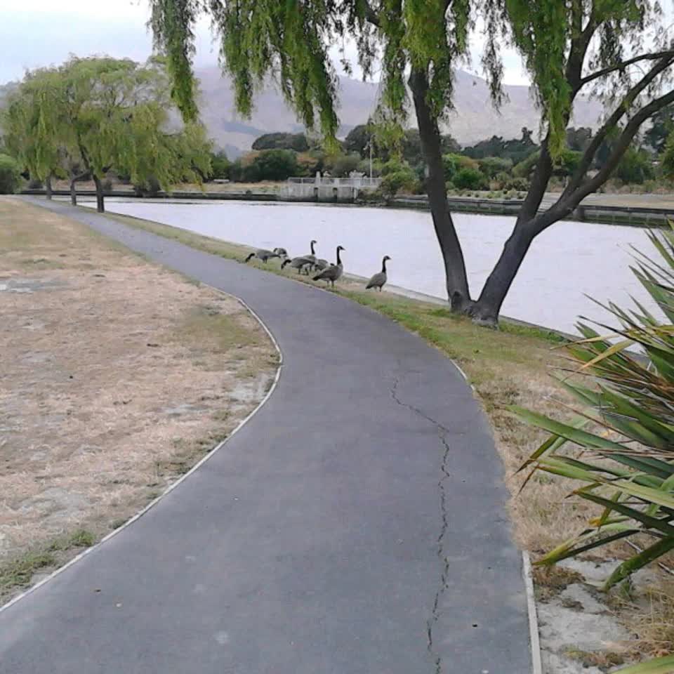 The photograph attached to this parks report