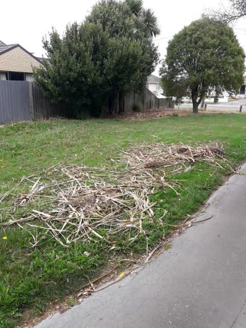 Parks, a report photo