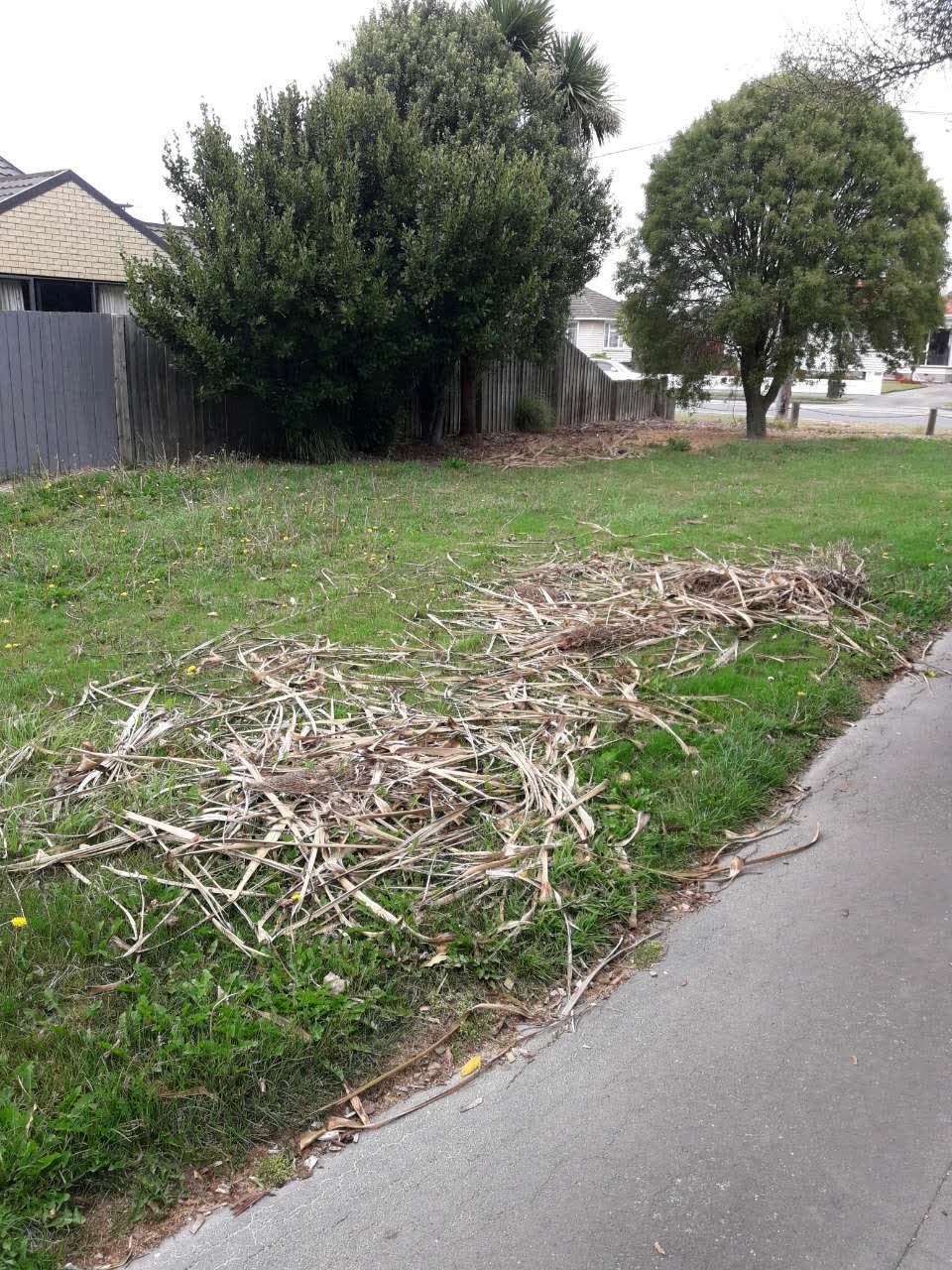The photograph attached to this parks report