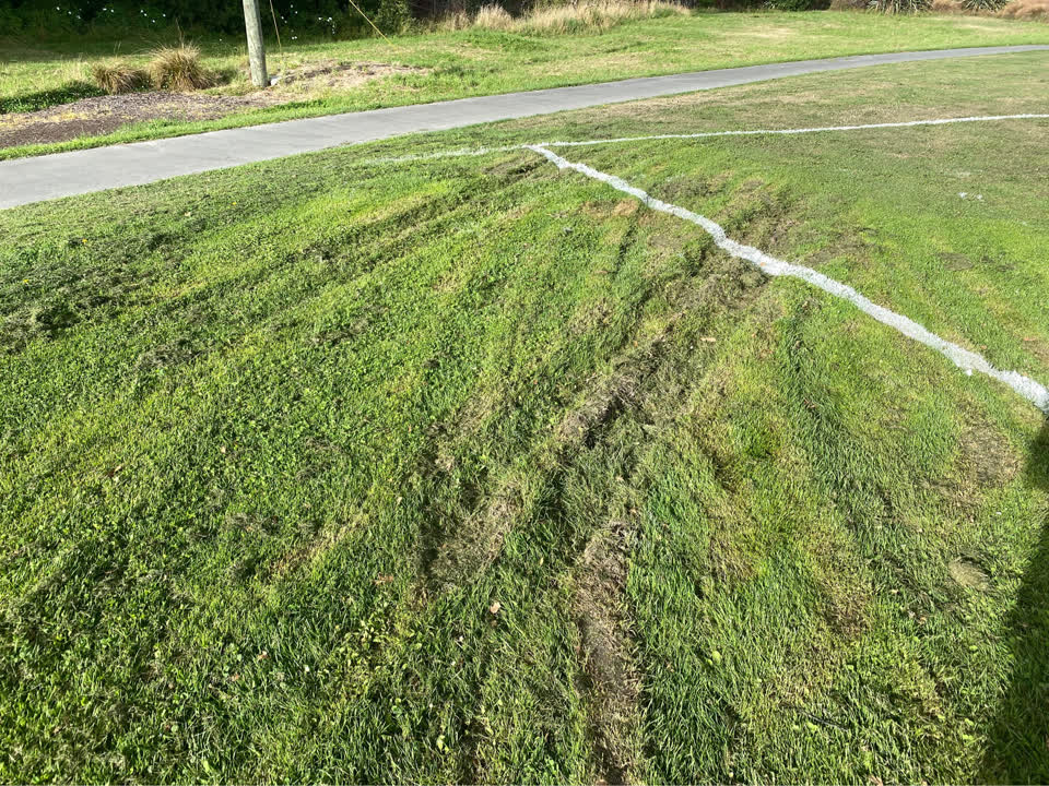 The photograph attached to this parks report