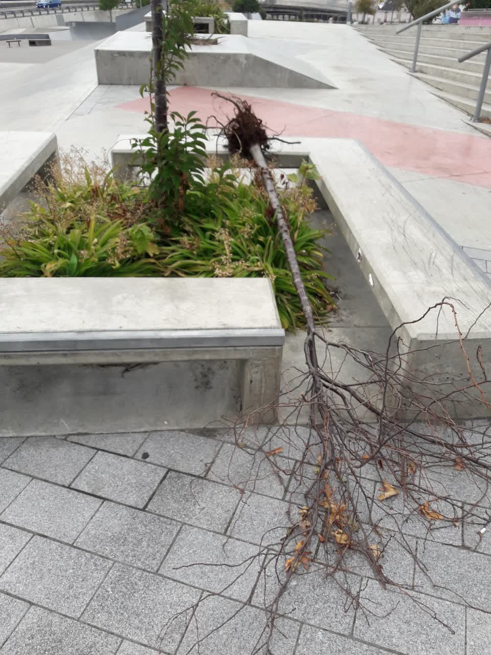 The photograph attached to this parks report