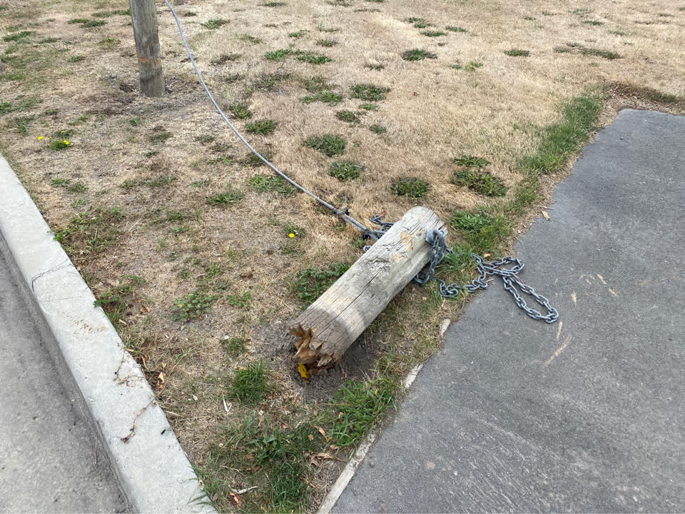 The photograph attached to this parks report