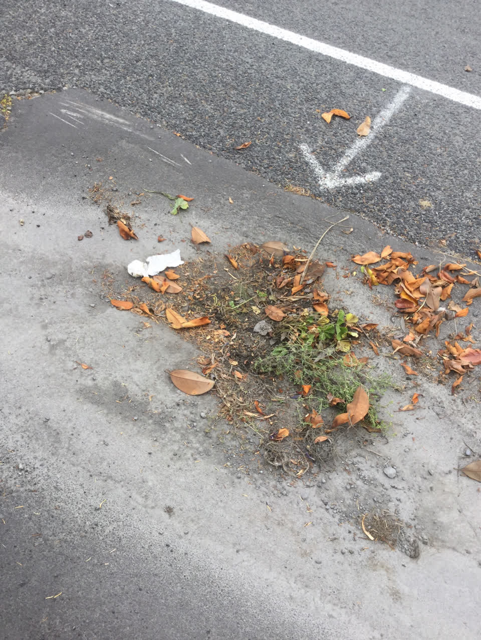 The photograph attached to this roading/streets report
