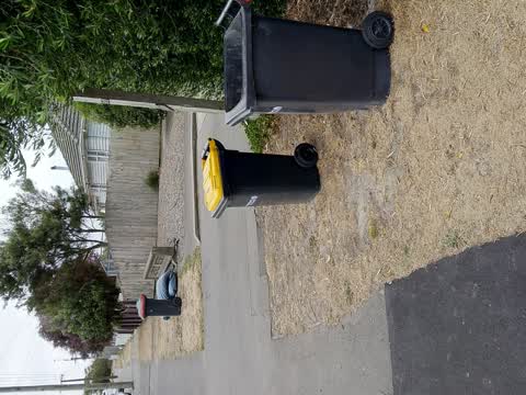Rubbish/Recycling, a report photo