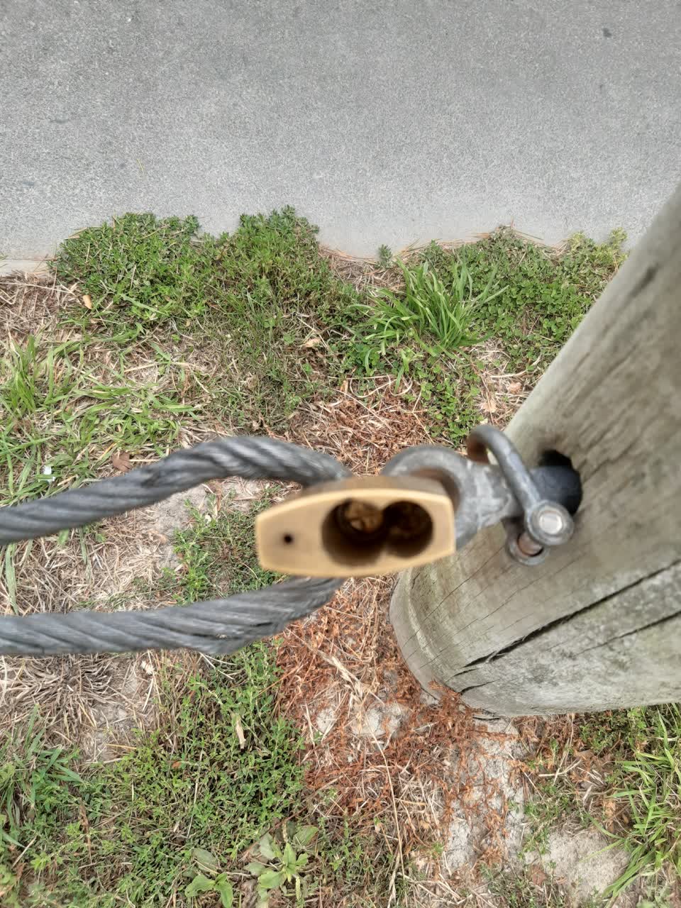 The photograph attached to this parks report