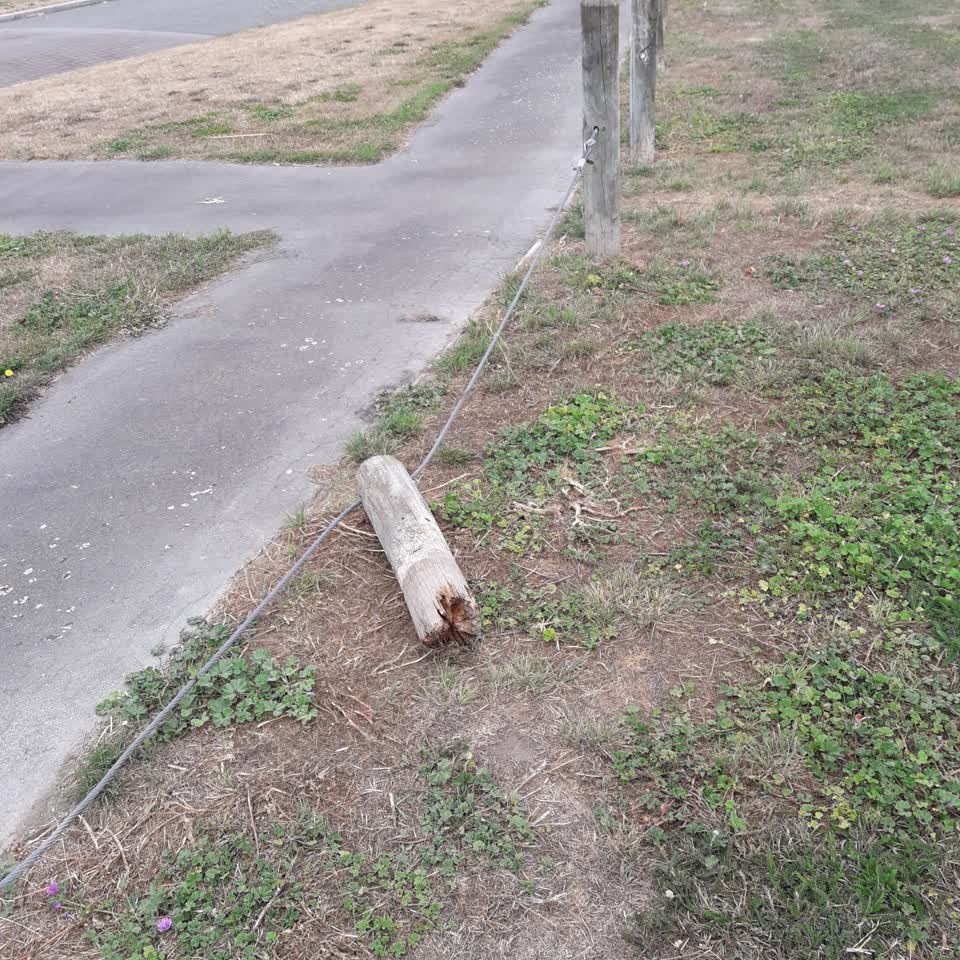 The photograph attached to this parks report