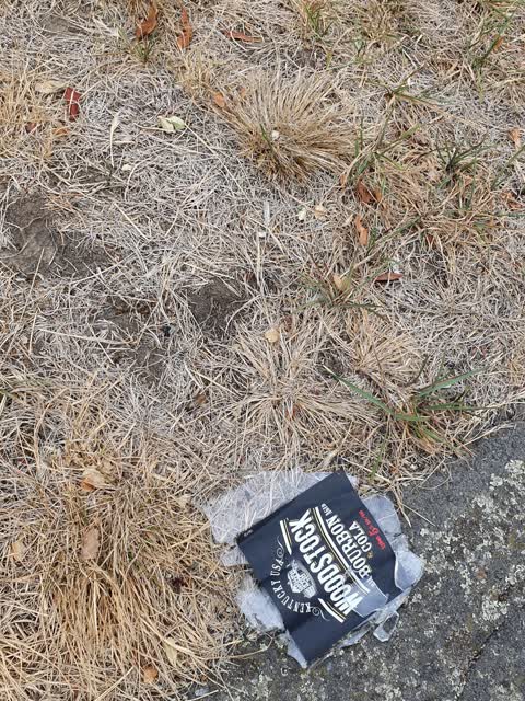 Roading/Streets, a report photo